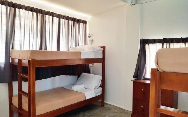 Bed Bunks And Beyond Hostel