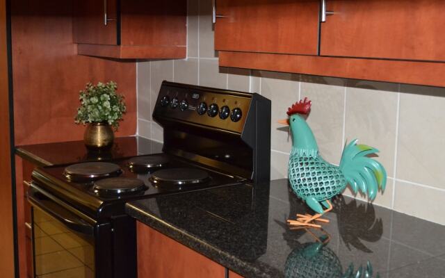 Africa Emerald at 47 Petronella