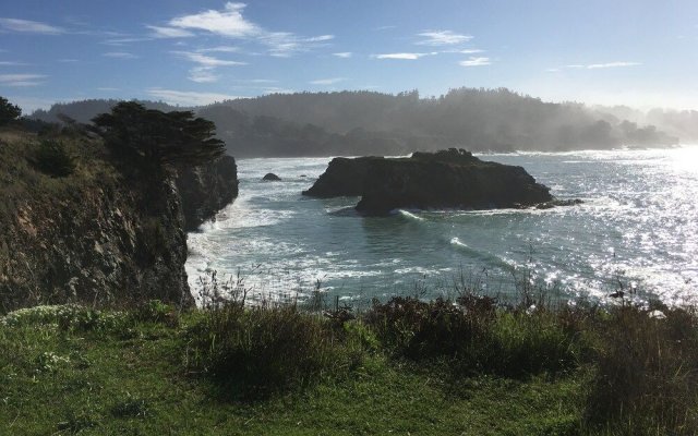 Mendocino Grove