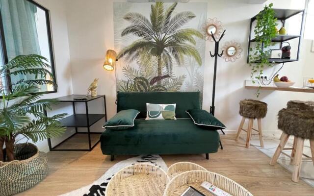 L'Amazone Centre-Ville Clim-Wifi-Netflix