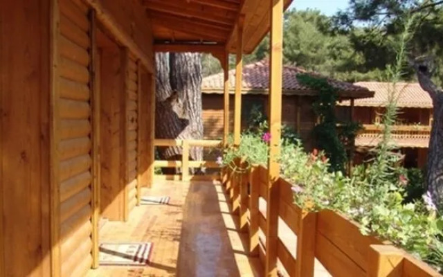 Olympos Mitos