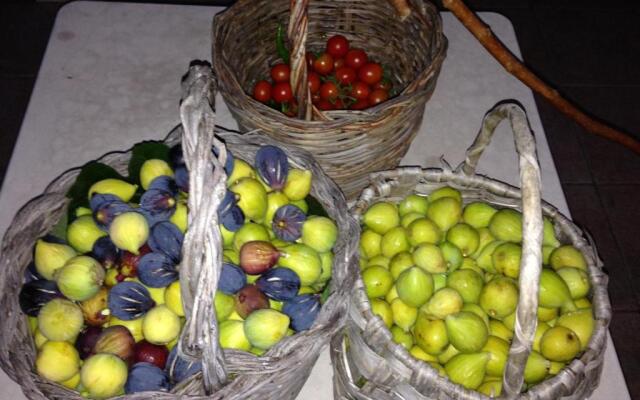 B&B Finestre Tra Gli Ulivi