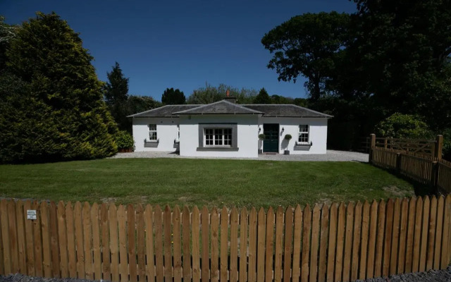 The Forest at Mount Congreve Gardens