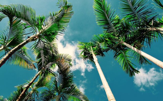Tonle Tropic Boutique Hotel