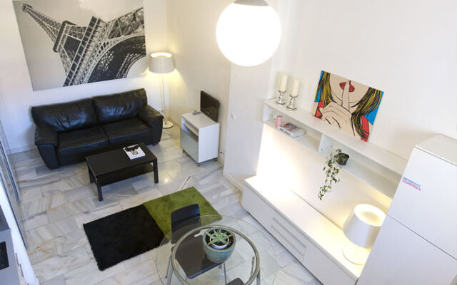 Apartamentos Puerta del Sol-Lofts Calle Ribera de Curtidores