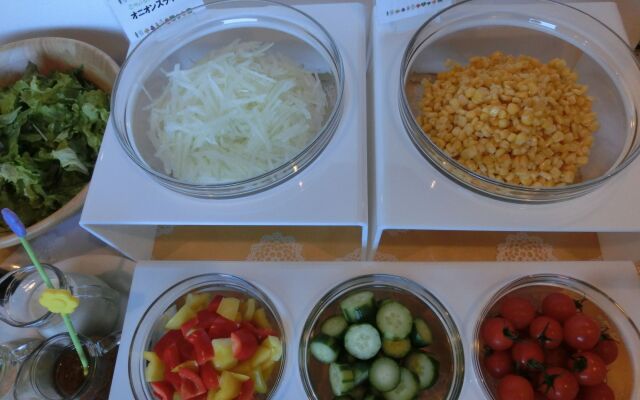 HOTEL MYSTAYS Hakodate Goryokaku