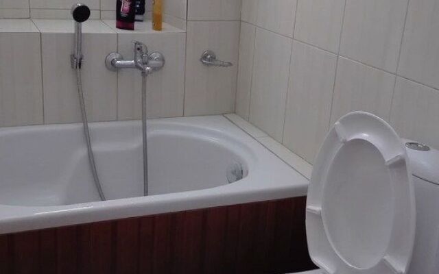 Garden Of Olive Trees