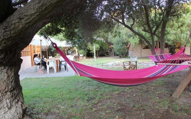 El Arbol Eco-Lodge - Hostel