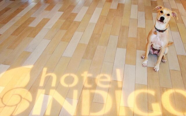 Hotel Indigo Atlanta Downtown by IHG
