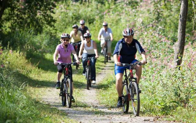 Wunsch Hotel Mürz - Natural Health & Spa Hotel