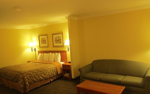 Best Western Wichita North Hotel & Suites