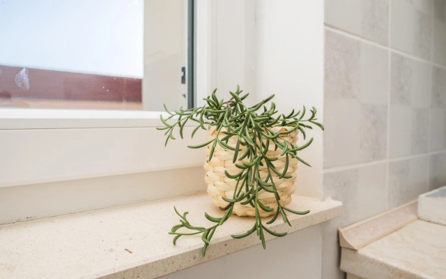 Mint, lovely apartment for 8