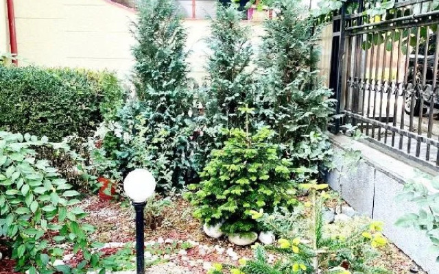 Apartament Roxana Eforie Nord