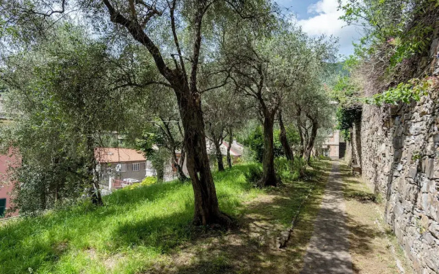 Salvia House In Mulinetti