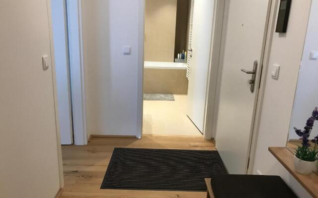 Spacious, Modern 1-bdrm Apt near VIC & Austria Ctr