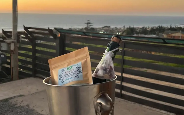 Viento Sur Pichilemu