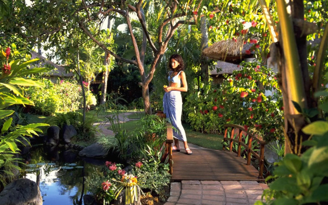Poppies Bali
