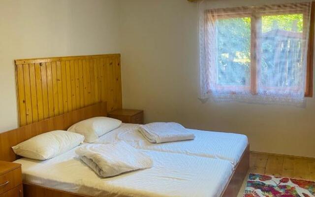 Casa de Vacanta Diana Moneasa