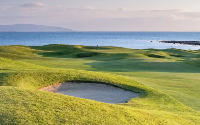 The Hawthorn By Galway Bay