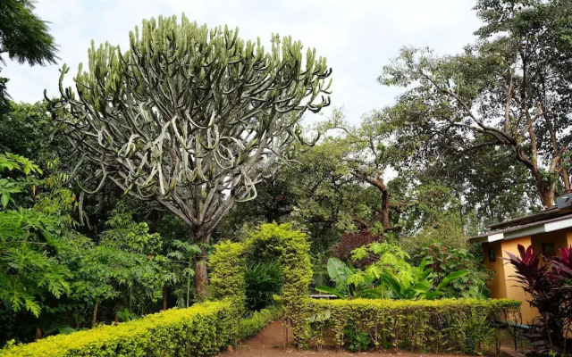 jacaranda homestay