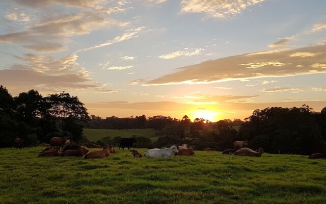 Seasons of Maleny B&B