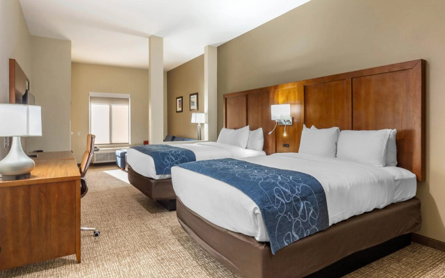 Comfort Suites Greensboro - High Point