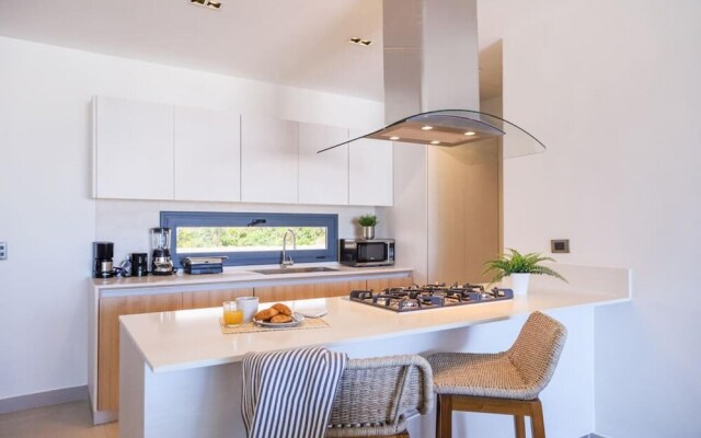 Elegant and Spacious Penthouse With Ocean View