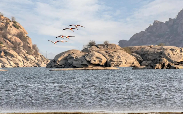 Lords Eco Inn Jawai-Sumerpur