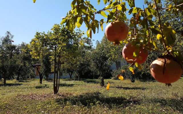 Village Camping Fico d'India