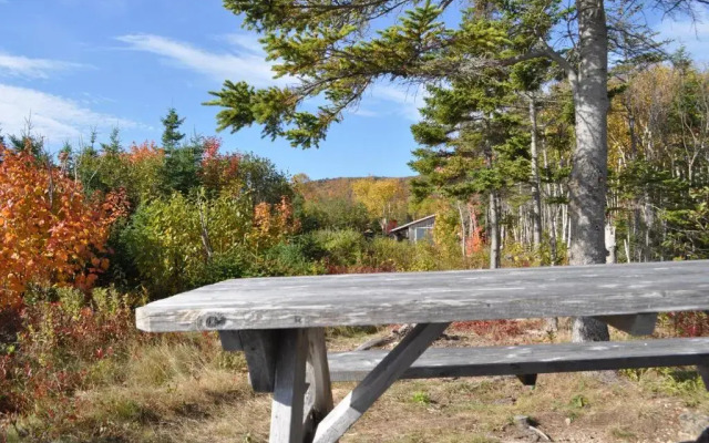 The Dancing Moose Cafe