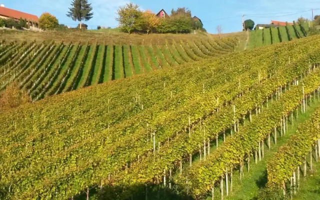 Weingut Stoff
