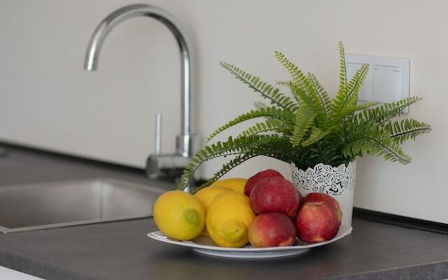 Lopianowa Apartment Warsaw by Renters