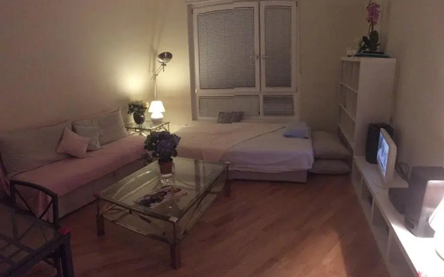 Vienna Central Apartment Mollardgasse