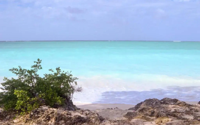 Mabwe Roots Bungalows