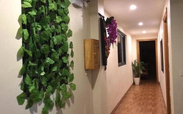 Misty Hostel Sapa