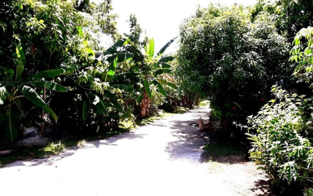 La casa de Rolando y Coralia PLAYA