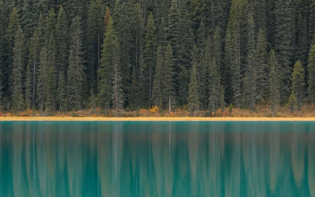 Johnston Canyon Lodge and Bungalows