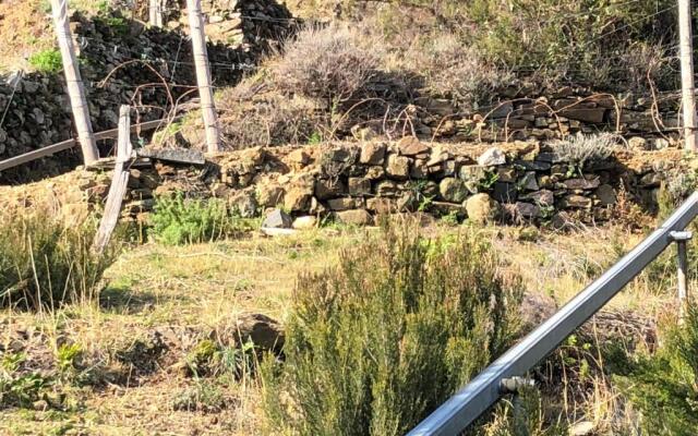 Zia Letizia Bed and Wine