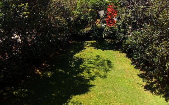 House of Ficus Banderilla,veracruz-mexico