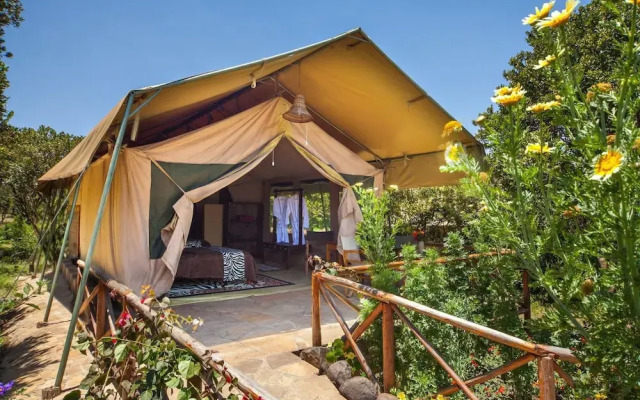 Rhino Watch safari Lodge