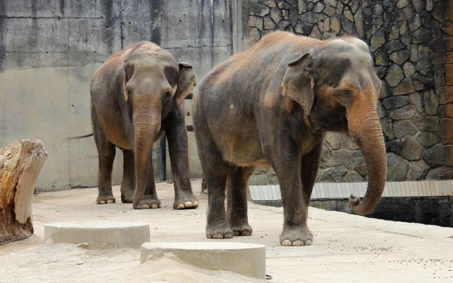 Old Town Museum Apartment