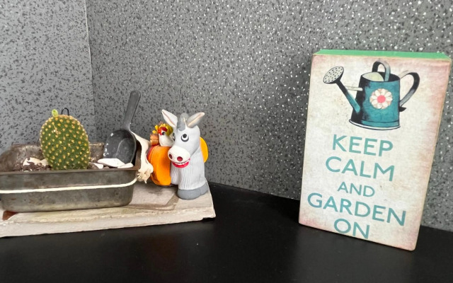 Warm & Cozy 1BD in Palermo