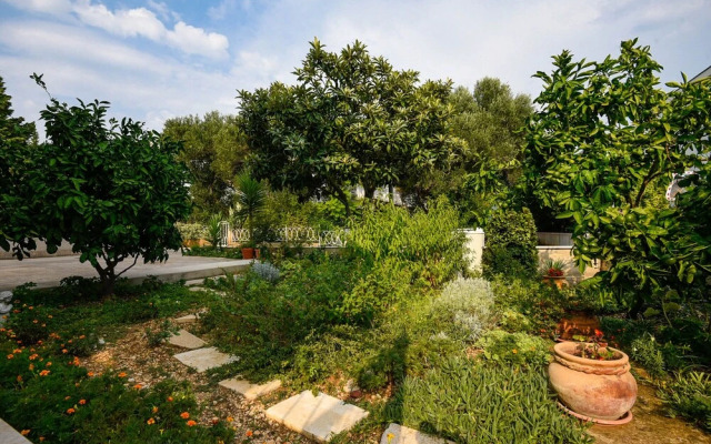 Apartments Trstenica