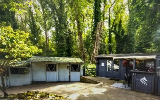 Beautiful 1-bed Secluded Cabin, With bar & Fire