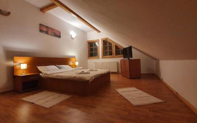 Vila Panselutelor 6