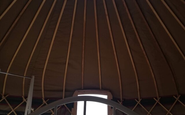 Looe Yurts