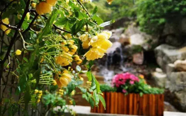 papaWO Homestay