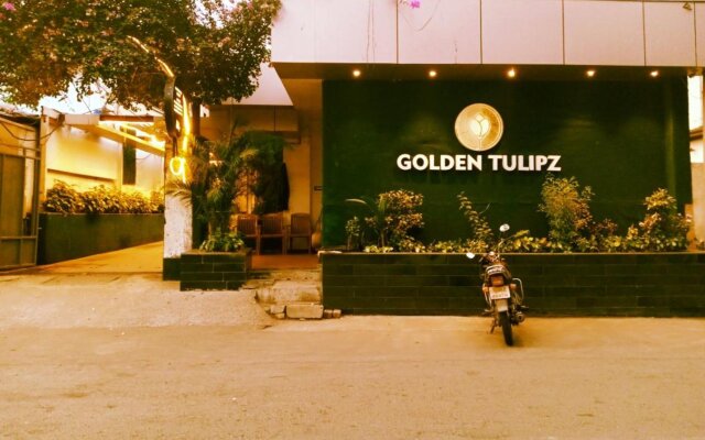 Treebo Trend Golden Tulipz