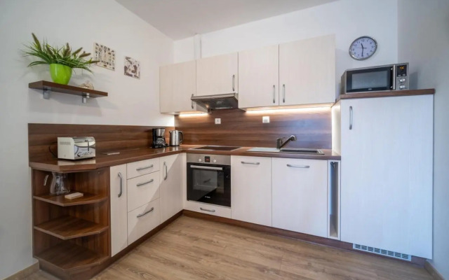 Apartment Riviera 510-8 Lipno Home