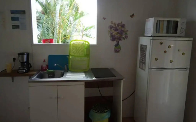 studio dans un écrin vert